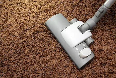 Vacuum head on thick brown carpet